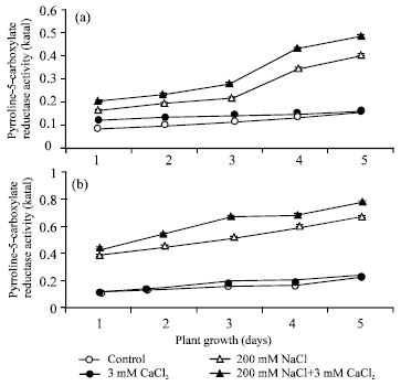 Image for - Interactive Effects of Sodium and Calcium on Proline Metabolism in Salt Tolerant Green Gram Cultivar