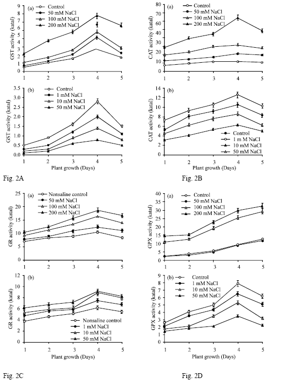 Image for - Differential Response of Scavenging of Reactive Oxygen Species in Green Gram Genotype Grown under Salinity Stress