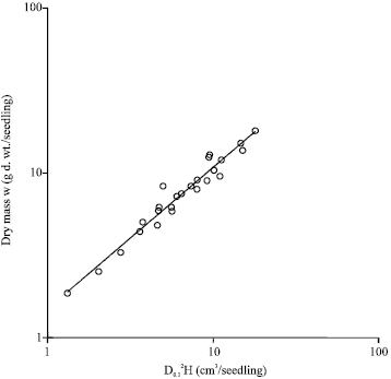 Image for - An Estimate of Growth and Maintenance Respiration in Hinoki Cypress (Chamaecyparis obtusa) Seedlings