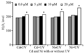Image for - Influence of UVA+B Radiation and Heavy Metals on Growth, Some Metabolic Activities and Antioxidant System in Pea (Pisum sativum) Plant