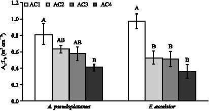 Image for - Age and Size Related Changes in Growth of Acer pseudoplatanus and Fraxinus excelsior Species