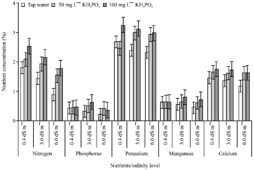 Image for - Response of Cowpea Plants Grown Under Salinity Stress to PK-Foliar Applications