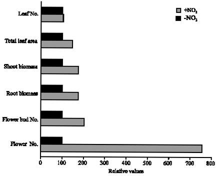 Image for - Effect of Atmospheric Nitrogen Dioxide on Mulukhiya (Corchorus  olitorius) Growth and Flowering