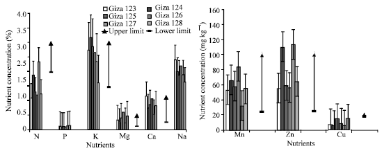Image for - Nutritional Status in Shoots of Barley Genotypes as Affected by Salinity of Irrigation Water