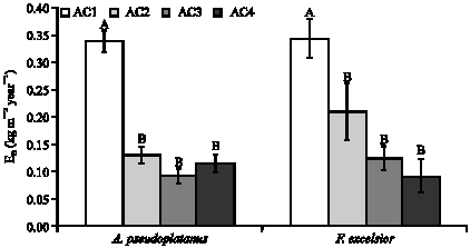 Image for - Age and Size Related Changes in Growth of Acer pseudoplatanus and Fraxinus excelsior Species