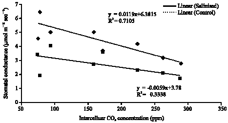 Image for - Salinity and Temperature Effects on CO2 Assimilation in Leaves of Avocados