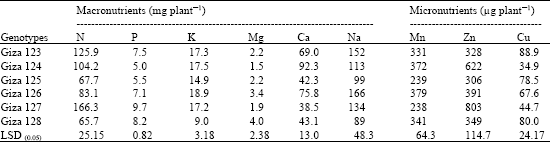 Image for - Nutritional Status in Shoots of Barley Genotypes as Affected by Salinity of Irrigation Water