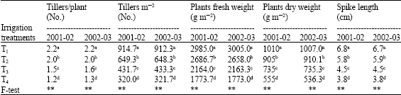 Image for - Effect of Irrigation Scheduling on Growth Parameters and Water Use Efficiency of Barely and Faba Bean Crops in Al-Ahsa, Saudi Arabia