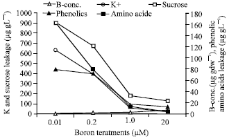 Image for - Role of Boron in Plant Nutrition and Human Health