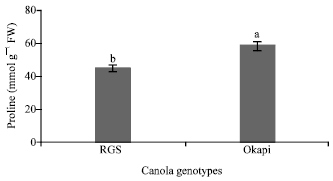 Image for - Changes of Proline Content and Activity of Antioxidative Enzymes in Two Canola Genotype under Drought Stress