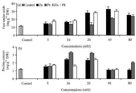 Image for - Comparative Evaluation of Zinc and Lead and their Synergistic Effects on Growth and Some Physiological Responses of Hassawi Okra (Hibiscus esculentus) Seedlings