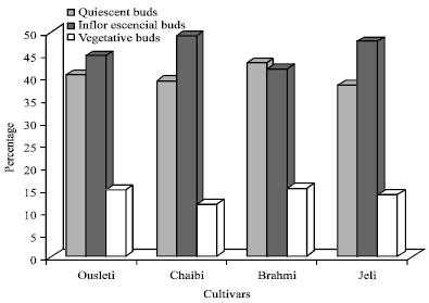 Image for - Distribution of Some Phenotypical Characters Within an Olive Population in Djebel Ouslet (Tunisia)