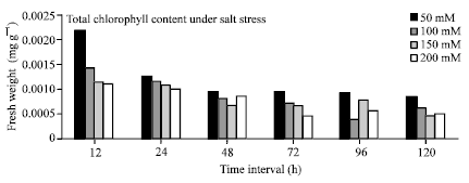 Image for - Effect of Short Term Salt Stress on Chlorophyll Content, Protein and Activities  of Catalase and Ascorbate Peroxidase Enzymes in Pearl Millet