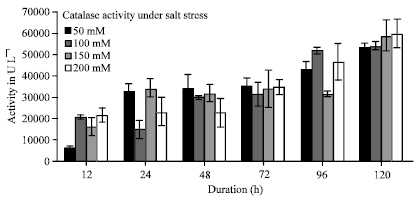 Image for - Effect of Short Term Salt Stress on Chlorophyll Content, Protein and Activities  of Catalase and Ascorbate Peroxidase Enzymes in Pearl Millet