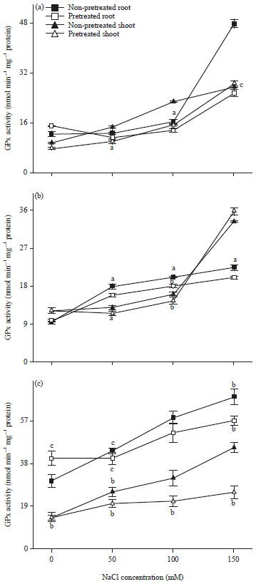 Image for - Sodium Chloride Primed Seeds Modulate Glutathione Metabolism in Legume Cultivars under NaCl Stress