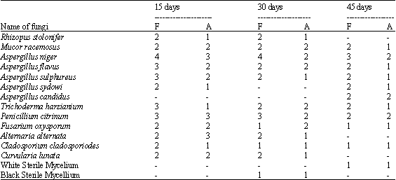 Image for - Effect of Organic Amendments on Soil Mycoflora