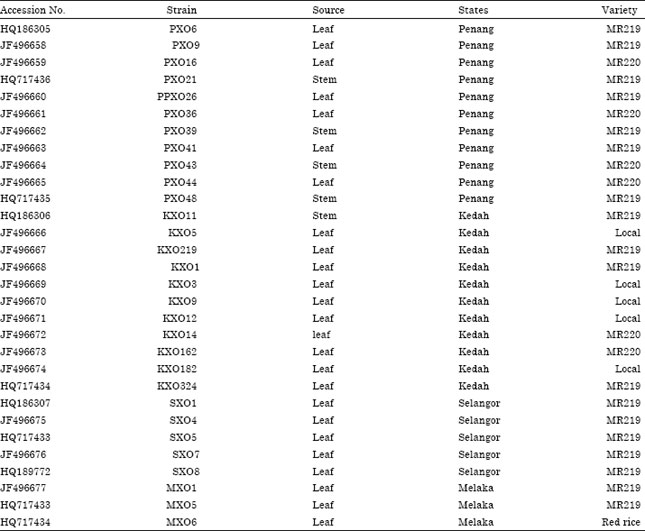 Image for - Rapid Identification and Differentiation of Xanthomonas oryzae pv. oryzae Strain with Primer 16S-23S rDNA from the Rice Fields in Peninsular Malaysia