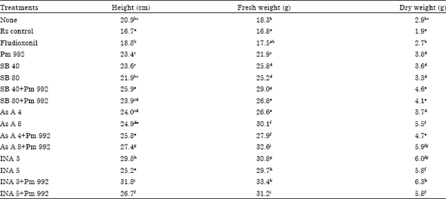 Image for - Effects of Chemical Inducers and Paenibacillus on Tomato Growth Promotion
and Control of Bacterial Wilt