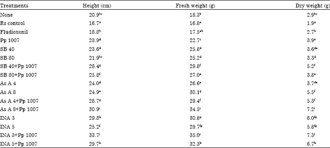 Image for - Effects of Chemical Inducers and Paenibacillus on Tomato Growth Promotion
and Control of Bacterial Wilt