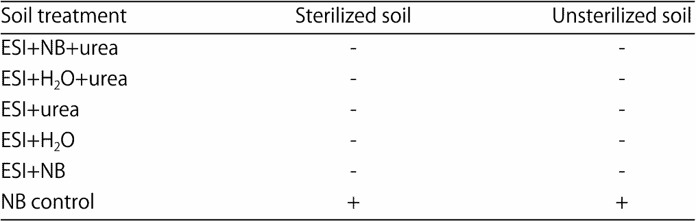 Image for - Biocontrol of Seed Decay, Seedling Damping-off and Plant-Growth Promotion of Cocoa Seedlings with Antagonistic Microbes