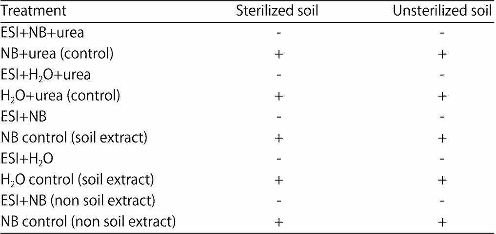 Image for - Biocontrol of Seed Decay, Seedling Damping-off and Plant-Growth Promotion of Cocoa Seedlings with Antagonistic Microbes