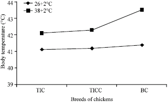 Image for - Effects of High Environmental Temperature on the Body Temperature of Thai Indigenous, Thai Indigenous Crossbred and Broiler Chickens