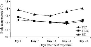 Image for - Effects of High Environmental Temperature on the Body Temperature of Thai Indigenous, Thai Indigenous Crossbred and Broiler Chickens
