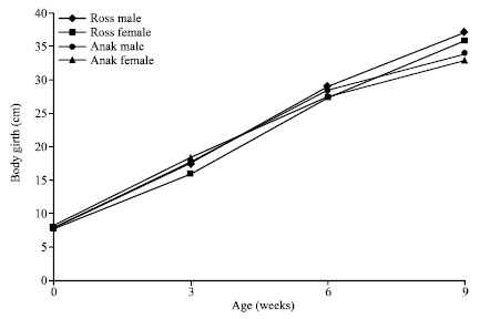 Image for - Effects of Genotype X Sex Interaction on Growth and Some Development Characteristics of Ross and Anak Broiler Strains in the High Rainforest Zone of Nigeria