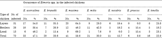 Image for - Prevalence of Coccidia Infection and Preponderance Eimeria Species in Free Range Indigenous and Intensively Managed Exotic Chickens during Hot-wet Season, in Zaria, Nigeria