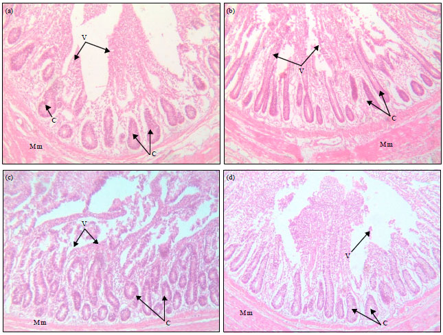 Image for - Performance, Caecum Bacterial Count and Ileum Histology of Broilers Fed Different Direct-Fed Microbials