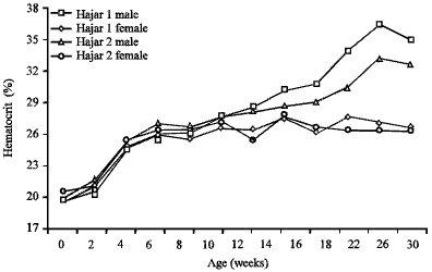 Image for - Evaluation of Some Blood Parameters of Hajar 1 and Hajar 2 Saudi Chicken  Lines Over the First 30 Weeks of Age