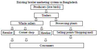 Image for - Status of Poultry Industry in Bangladesh and the Role of Private Sector for its Development