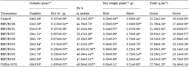 Image for - Selection of Effective Indigenous Rhizobium Strain for Seed Inoculation of Chickpea (Cicer aritenium L.) Production