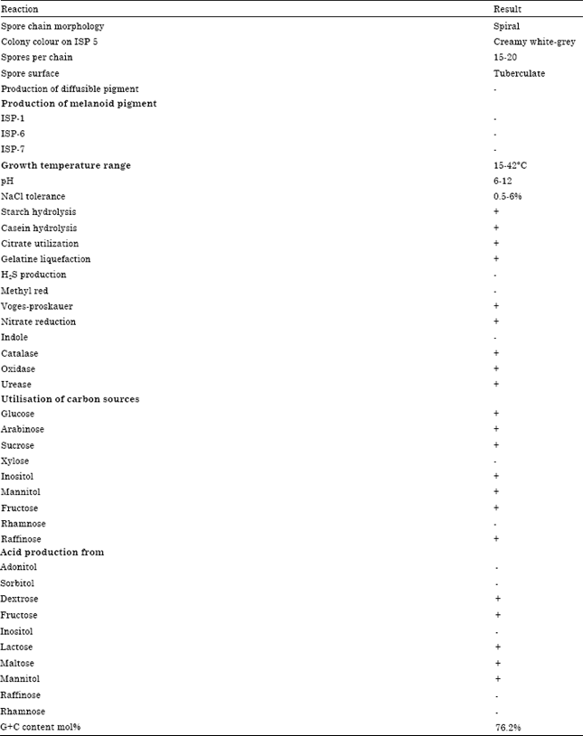 Image for - Molecular Characterization of Marine Streptomyces enissocaesilis Capable of L-asparaginase Production