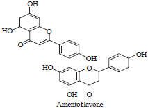 Image for - Review on Chemistry and Pharmacological Potential of Amentoflavone