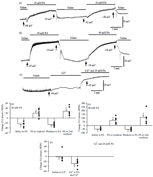 Image for - Effect of pH on Synaptic Transmission at the Neuromuscular Junction in Drosophila melanogaster