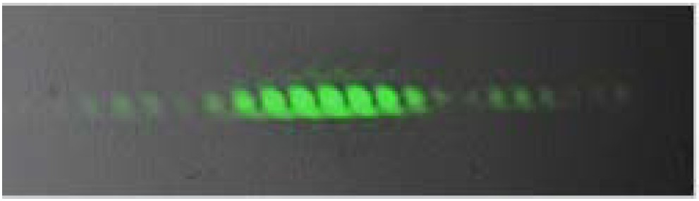 Image for - Current Double-Slit Experiment Proves That There is No Light Interference