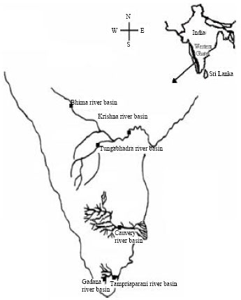 Image for - Spatio-temporal Dynamics of Leaf Litter Associated Macroinvertebrates in Six River Basins of Peninsular India