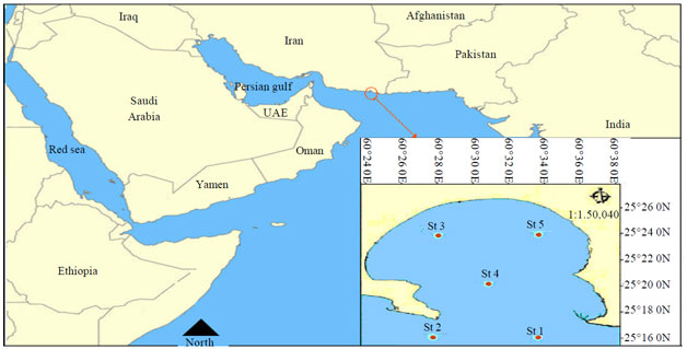 Image for - The Seasonal Change of Female and Male Paracalanidae (Calanoid Copepod) in Chabahar Bay: The Gulf of Oman