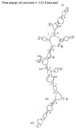 Image for - Molecular Characterization and Phylogeny of Marine Cyanobacteria from Palk Bay Region of Tamil Nadu, India