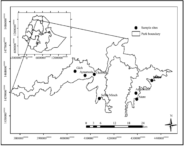 Image for - Habitat Quality Assessment of the Ethiopian Wolf in the Simien Mountains  National Park, Ethiopia