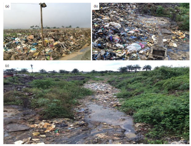 Image for - Assessment of Physical Quality of Leachates from Dumpsites in Port Harcourt and Environs, Rivers State, Nigeria