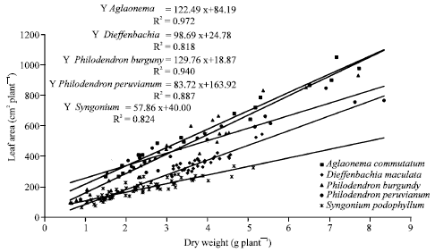 Image for - Estimating Crop Productivity for Five Ornamental Foliage Plants