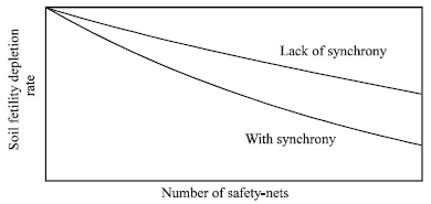 Image for - Nutrient Cycling and Safety-net Mechanism in the Tropical Homegardens