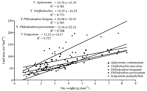 Image for - Estimating Crop Productivity for Five Ornamental Foliage Plants
