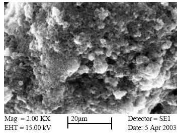 Image for - Column Studies of Phenols and Dyes Removal from Aqueous Solutions Utilizing Fertilizer Industry Waste