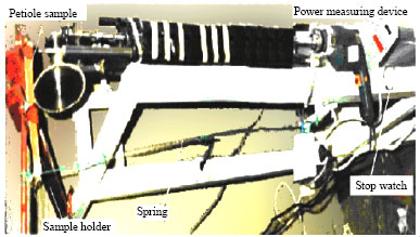 Image for - Development and Testing of a Portable Palm Tree Pruning Machine