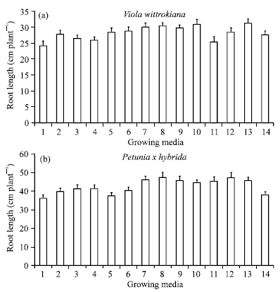 Image for - Evaluation of Alternative Substrates for Bedding Plants