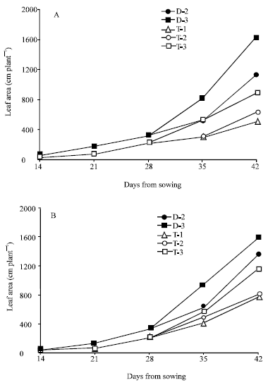 Image for - The Effect of Transplant in Sweet Maize (Zea mays L.) II. Container Root Restriction