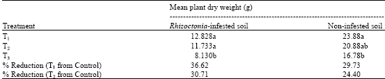 Image for - Dry Preparation of Trichoderma harzianum for Controlling Rhizoctonia damping-off in Brassica rapa